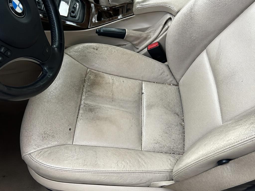 Driver's Seat — before professional detailing